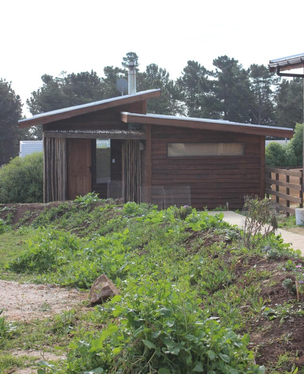 Cabanas Grulla Pichilemu Exterior foto